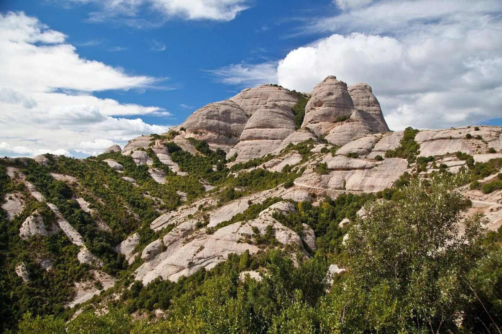 Imatge del Parc Natural de Montserrat / 