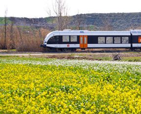 Tren panoràmic a la plana del Segre - Tren panorámico en la llanura del Segre