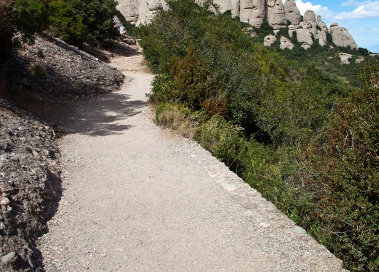 Una ruta pel Parc Natural de Montserrat / 